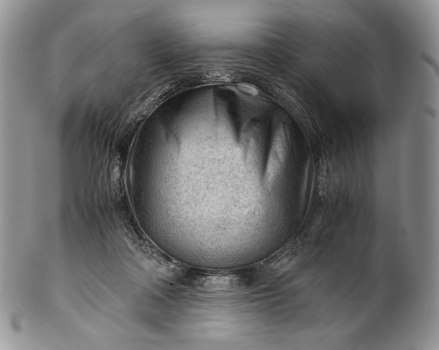 X0000101960314200808011114