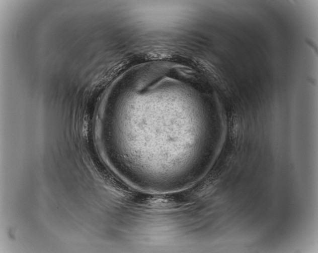 X0000101960315200808011114