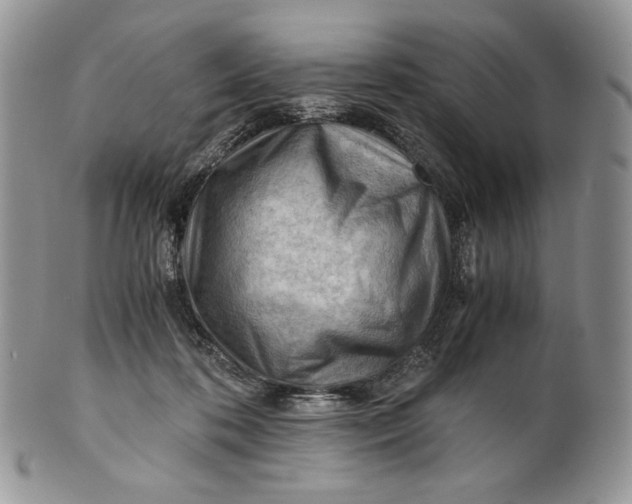 X0000101960316200808011114