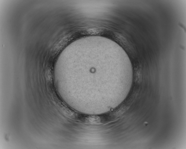 X0000101960317200808011114