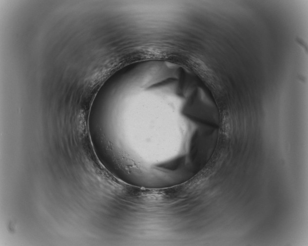 X0000101960318200808011114