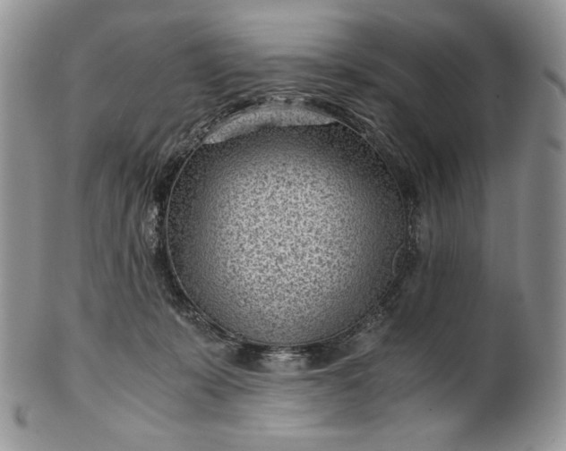 X0000101960319200808011114