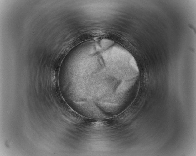 X0000101960320200808011114