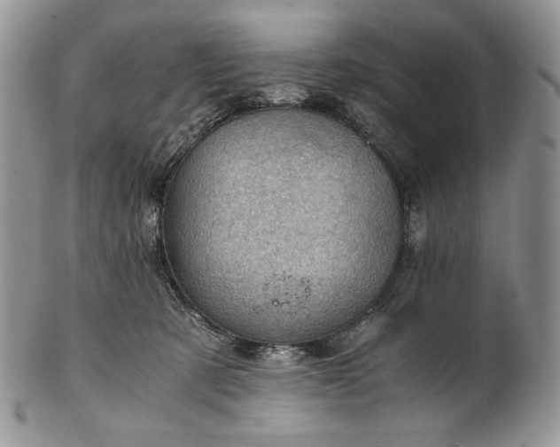 X0000101960321200808011113