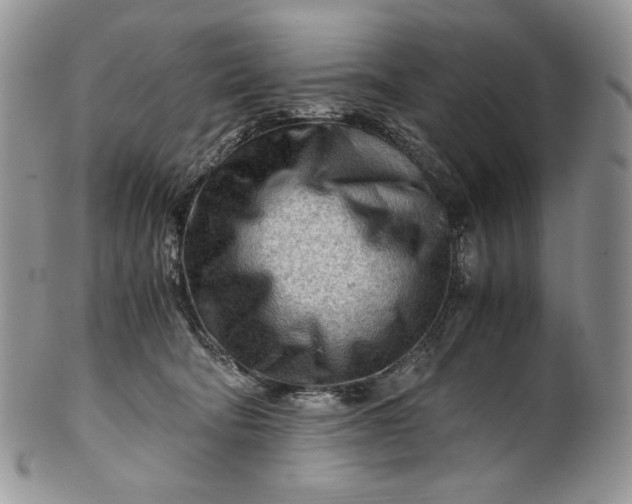 X0000101960322200808011113