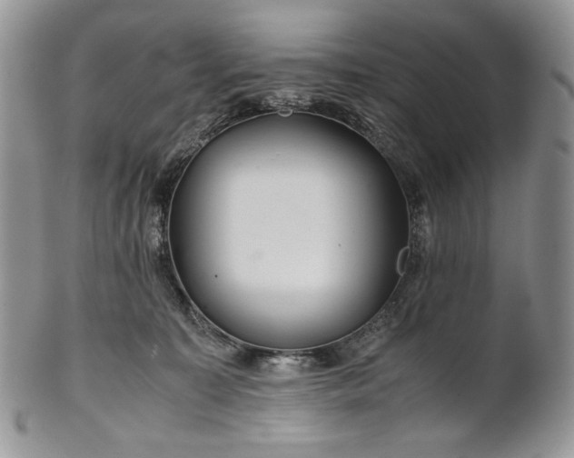 X0000101960323200808011113