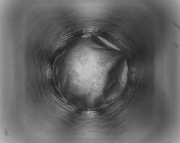 X0000101960324200808011113