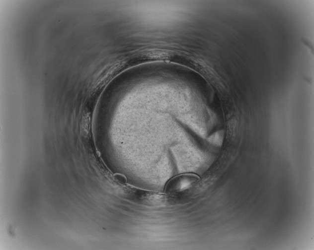 X0000101960325200808011113