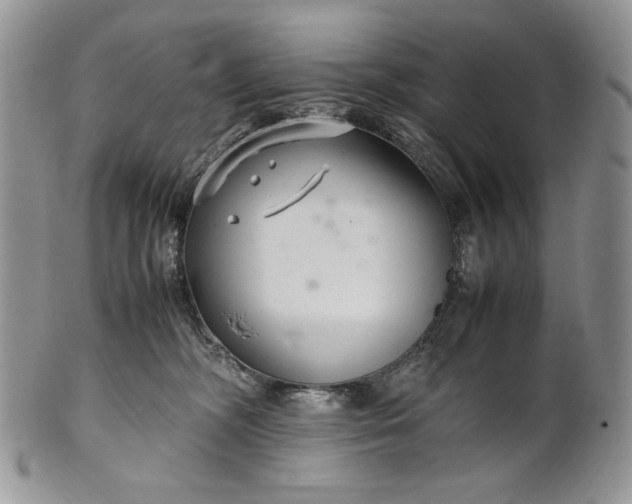 X0000101960326200808011113