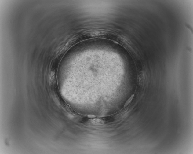 X0000101960327200808011113