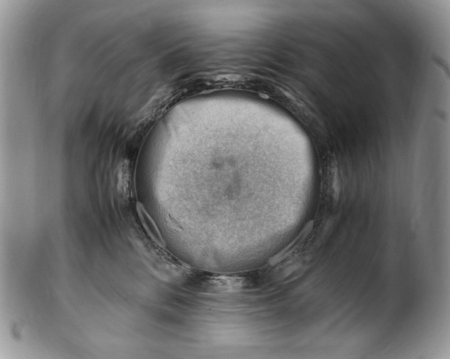 X0000101960328200808011113