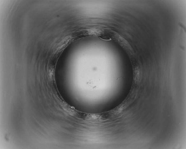 X0000101960329200808011113