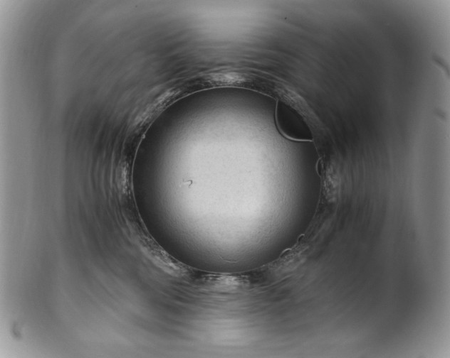 X0000101960330200808011113