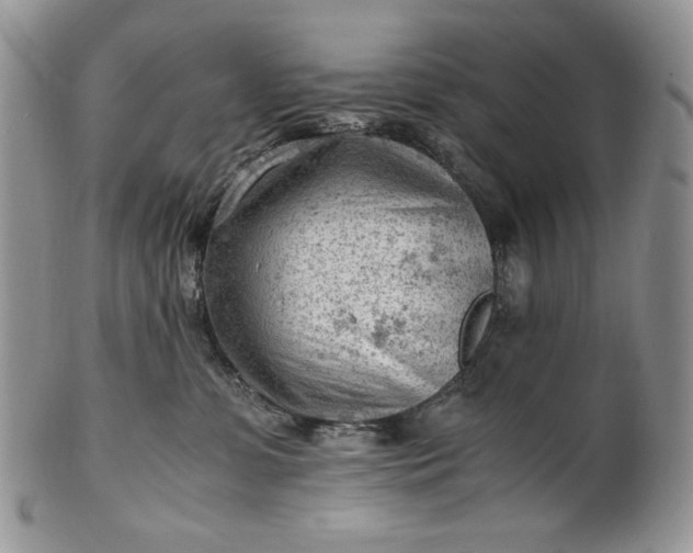 X0000101960331200808011113