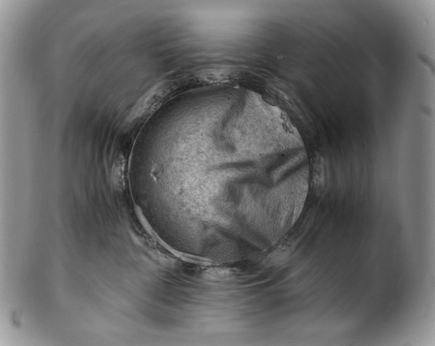 X0000101960332200808011113