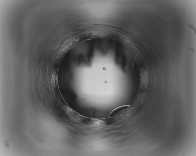 X0000101960333200808011113