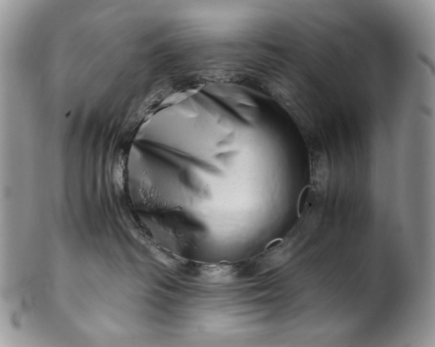 X0000101960334200808011113