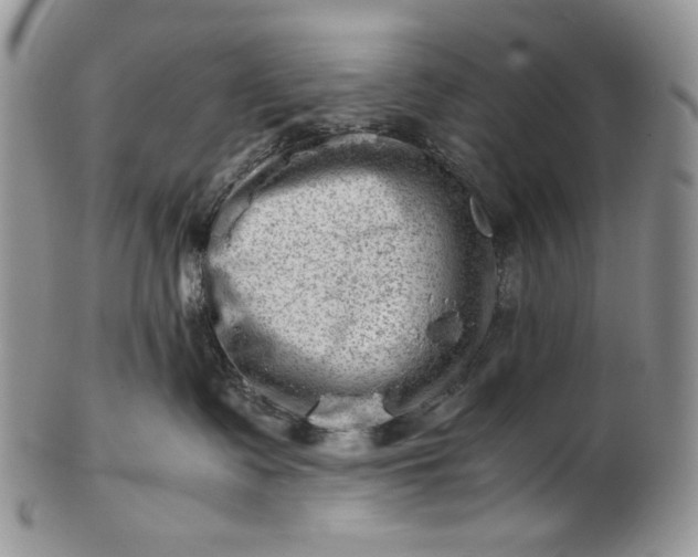 X0000101960335200808011113