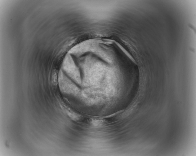 X0000101960336200808011113