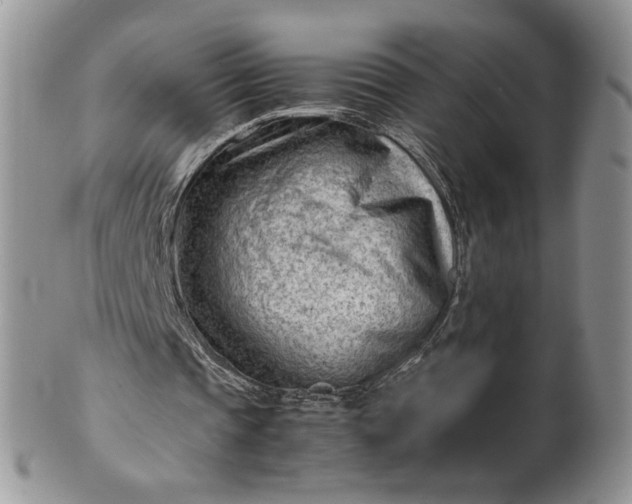 X0000101960337200808011113