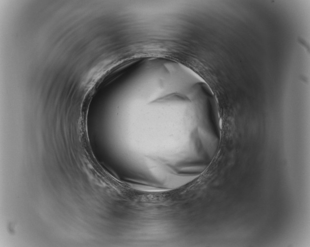 X0000101960338200808011113