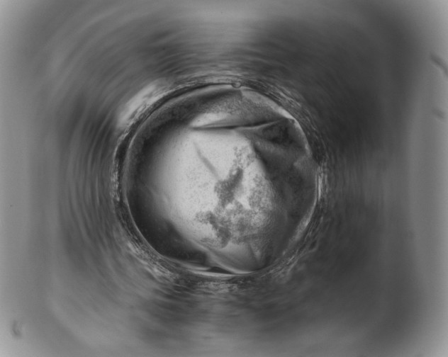 X0000101960339200808011113