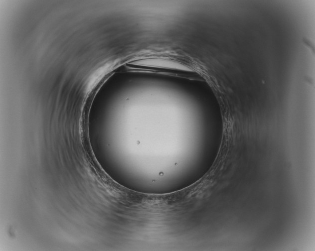 X0000101960340200808011113