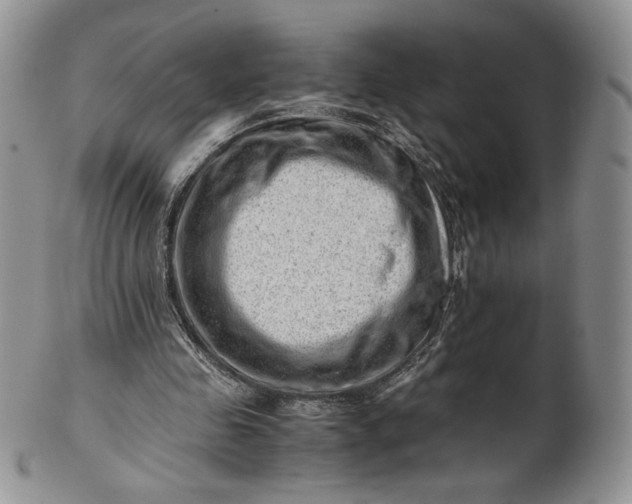 X0000101960341200808011113