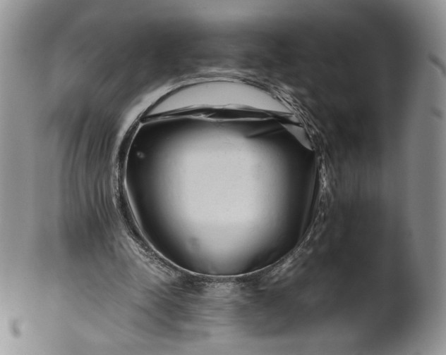 X0000101960342200808011113