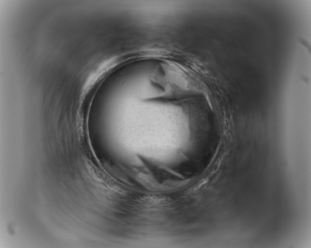 X0000101960343200808011113