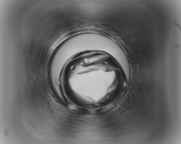 X0000101960344200808011113