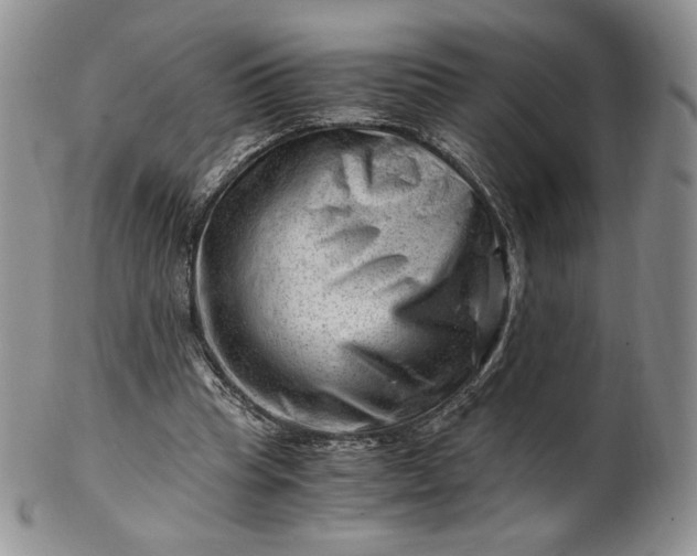 X0000101960345200808011113