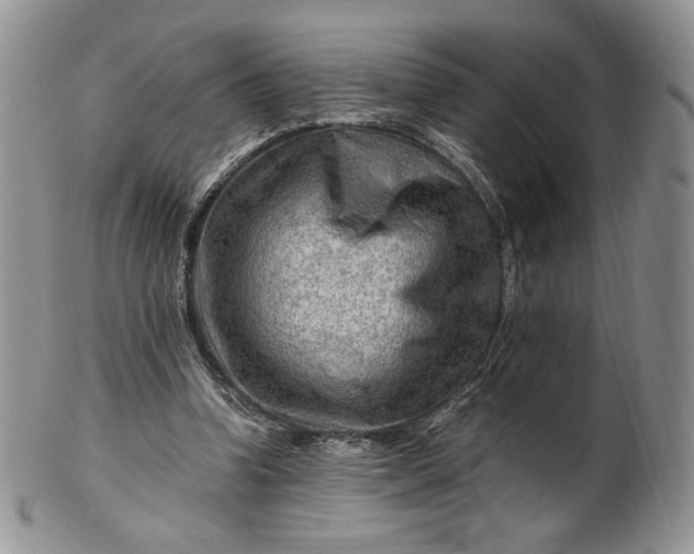 X0000101960346200808011113