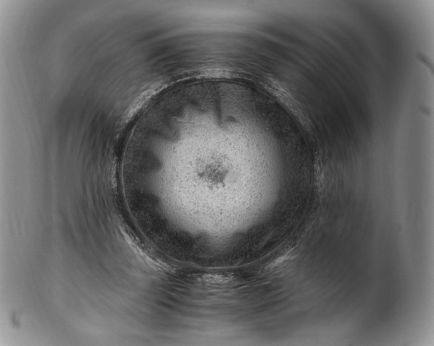 X0000101960347200808011113