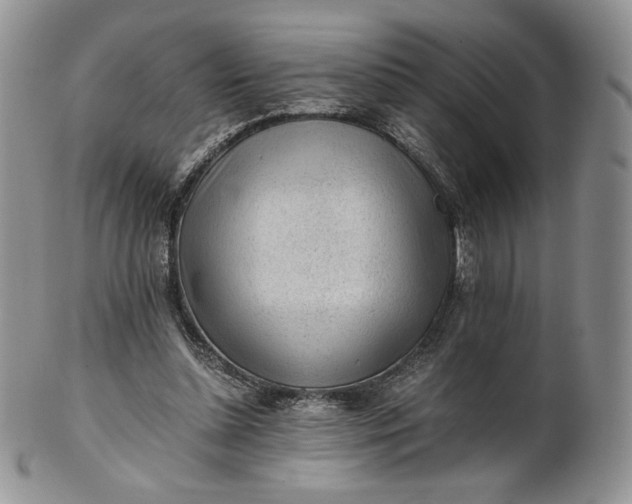 X0000101960348200808011113