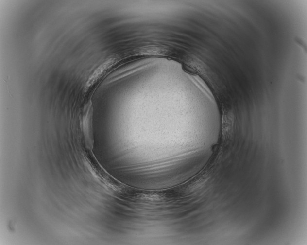 X0000101960349200808011113