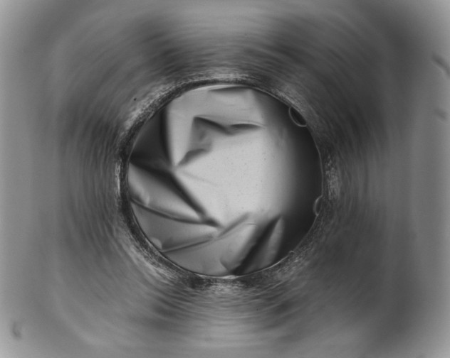 X0000101960350200808011113