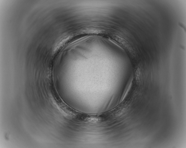 X0000101960352200808011113