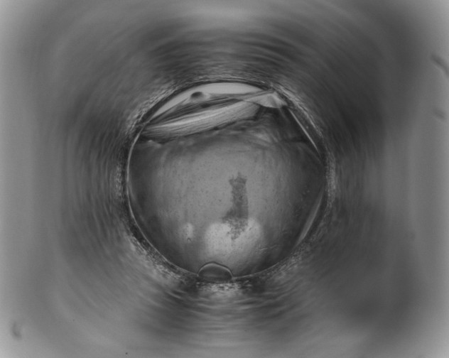 X0000101960353200808011113