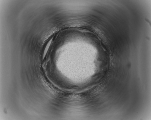 X0000101960354200808011113