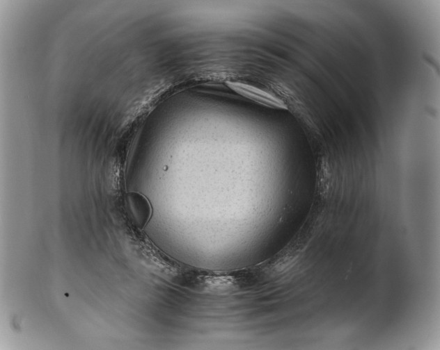 X0000101960355200808011113