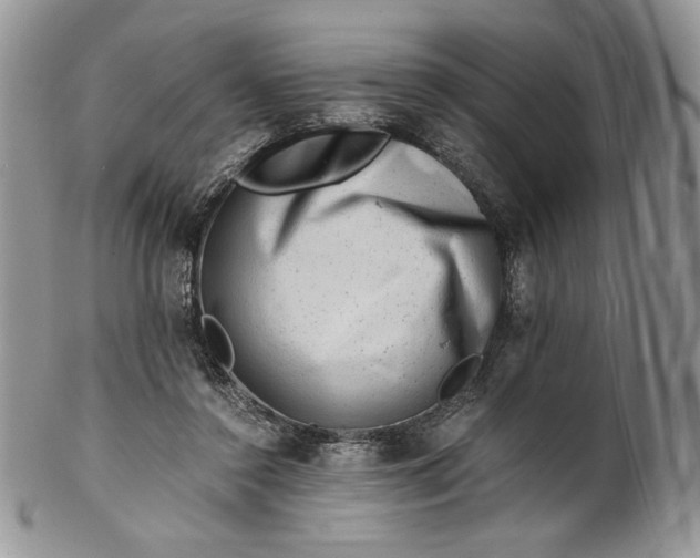 X0000101960356200808011113