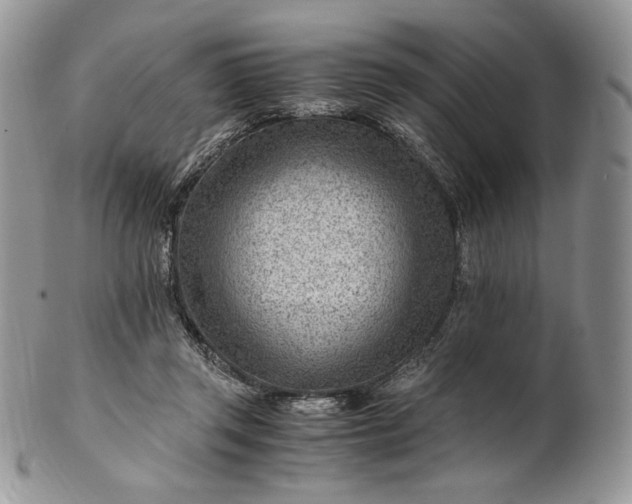 X0000101960357200808011113