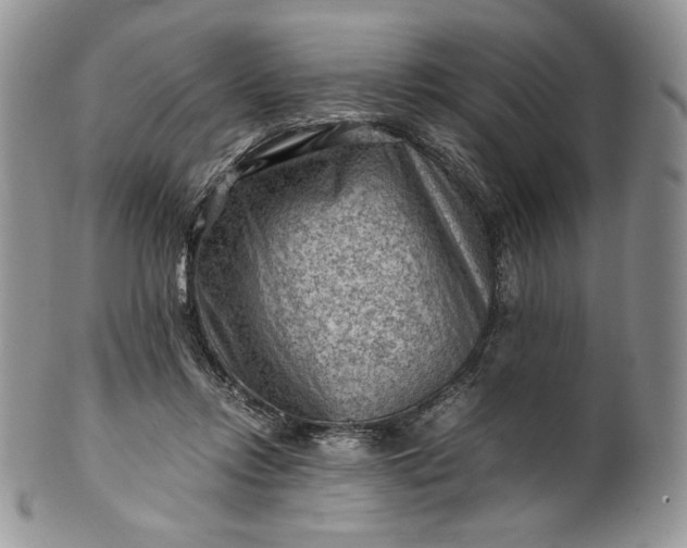 X0000101960358200808011113