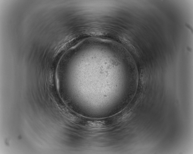 X0000101960359200808011113