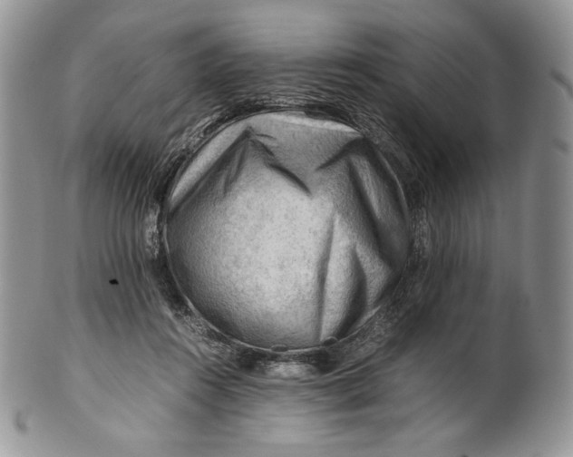 X0000101960360200808011113