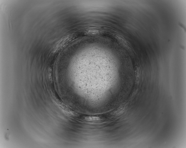 X0000101960361200808011113