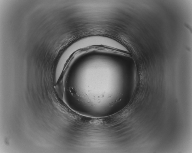 X0000101960362200808011113