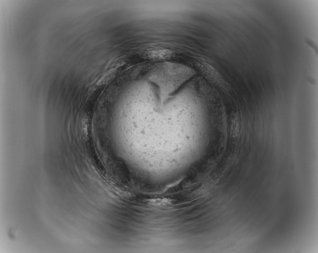 X0000101960363200808011113