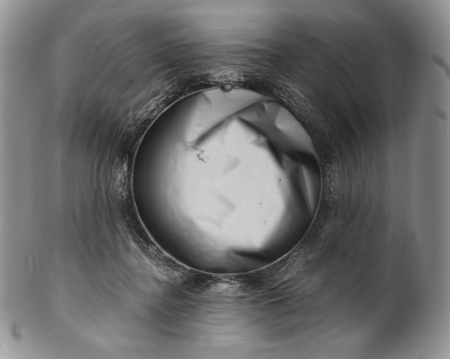 X0000101960364200808011113